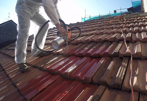 Fuite et étanchéité de toiture à Bergers (38420) en Isère (38).