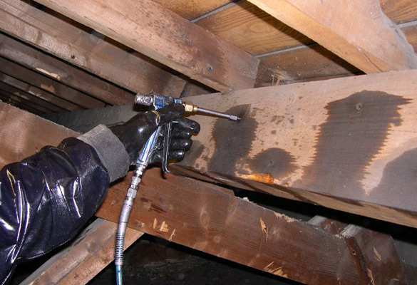 Traitement de charpente  à Bergers (38420) en Isère (38).