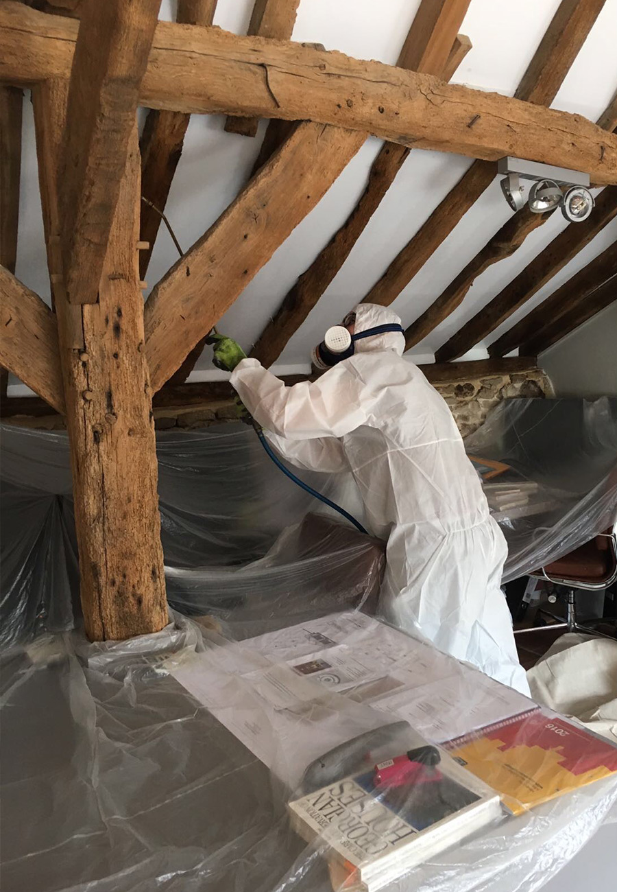 Lutte contre les parasites du bois à Bergers (38420) en Isère (38)